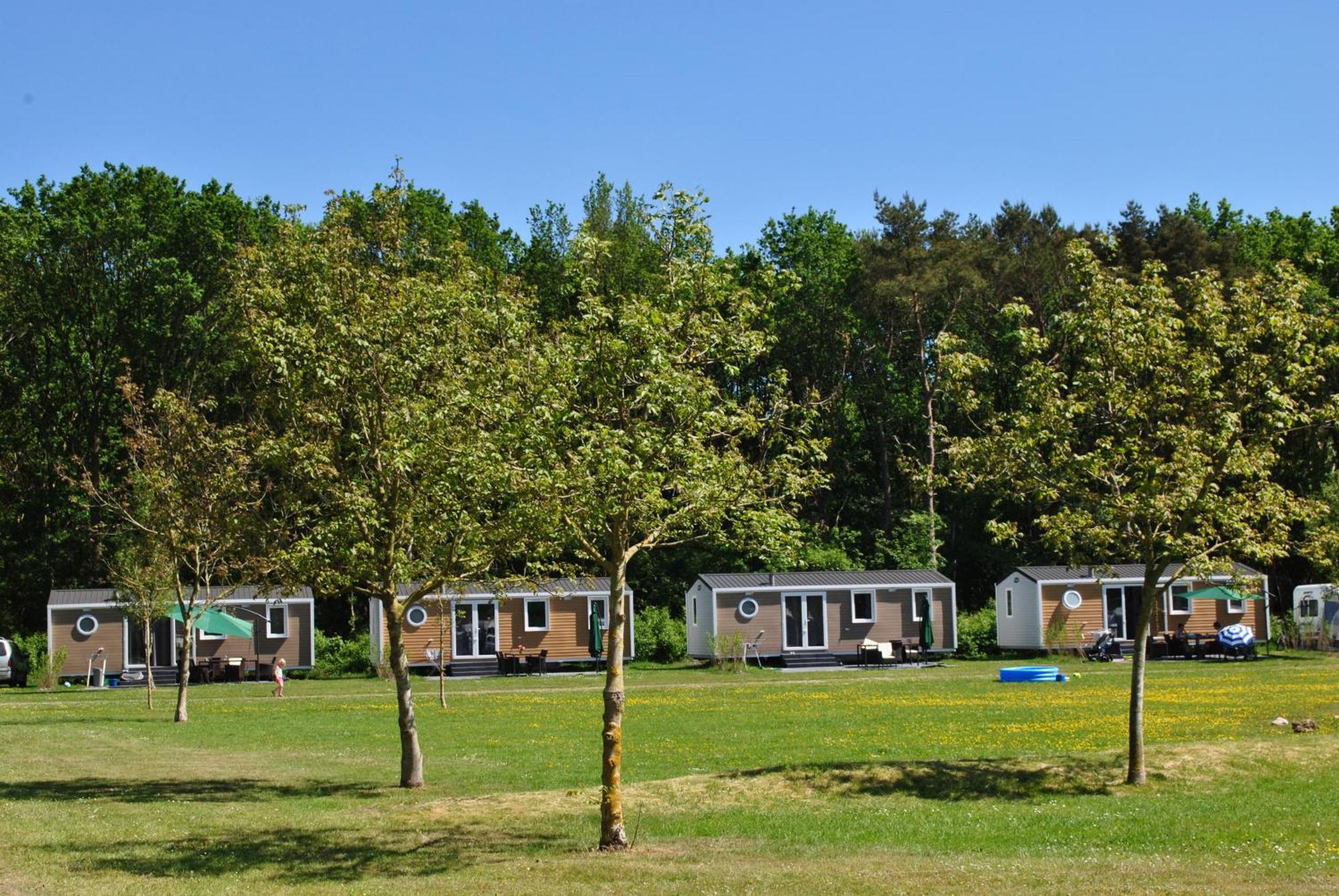 דרנטה Camping De Reeenwissel מראה חיצוני תמונה