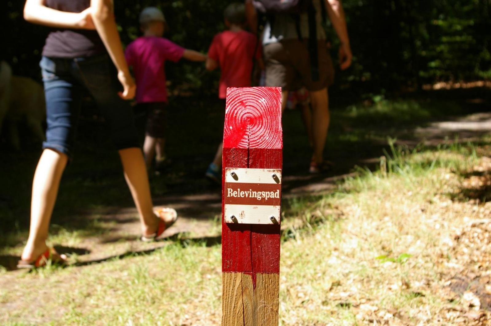 דרנטה Camping De Reeenwissel מראה חיצוני תמונה